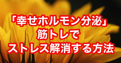 オナニー 幸せ|オナニーでセロトニンが分泌！「幸せホルモン」はストレス発散。